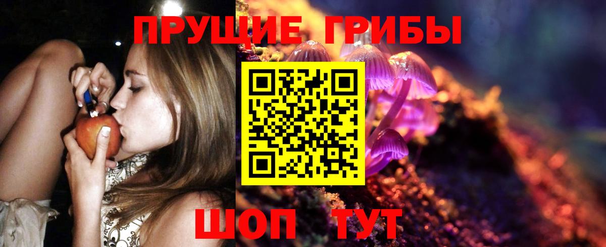 Псилоцибиновые грибы Psilocybine cubensis  Галлюциногенные грибы Psilocybe  Новозыбков  Вход с VPN 